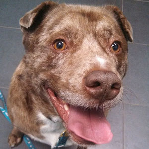 Meet your Posher, Deborah